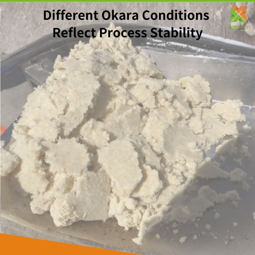 Different-okara-conditions-reflect-process-stability-comparing-stable-okara-high-moisture-okara-and-coarse-or-uneven-fiber-okara
